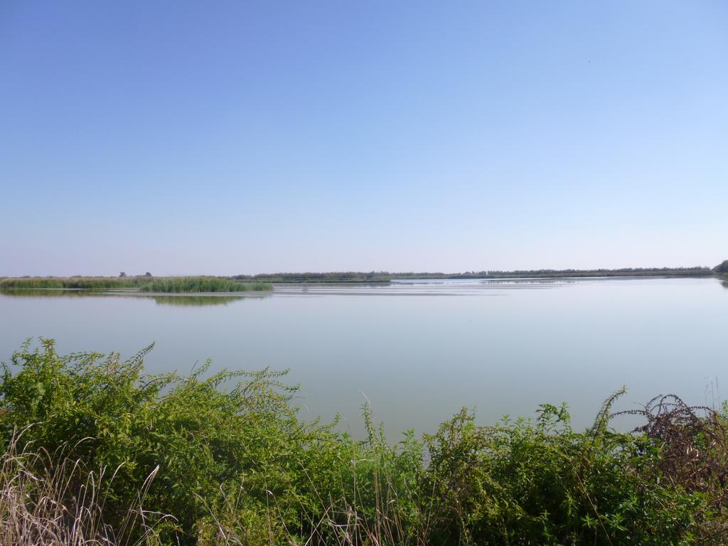 Penzion La Tomina Mirandola Pokoj fotografie