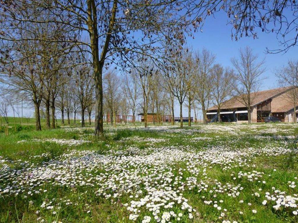 Penzion La Tomina Mirandola Pokoj fotografie